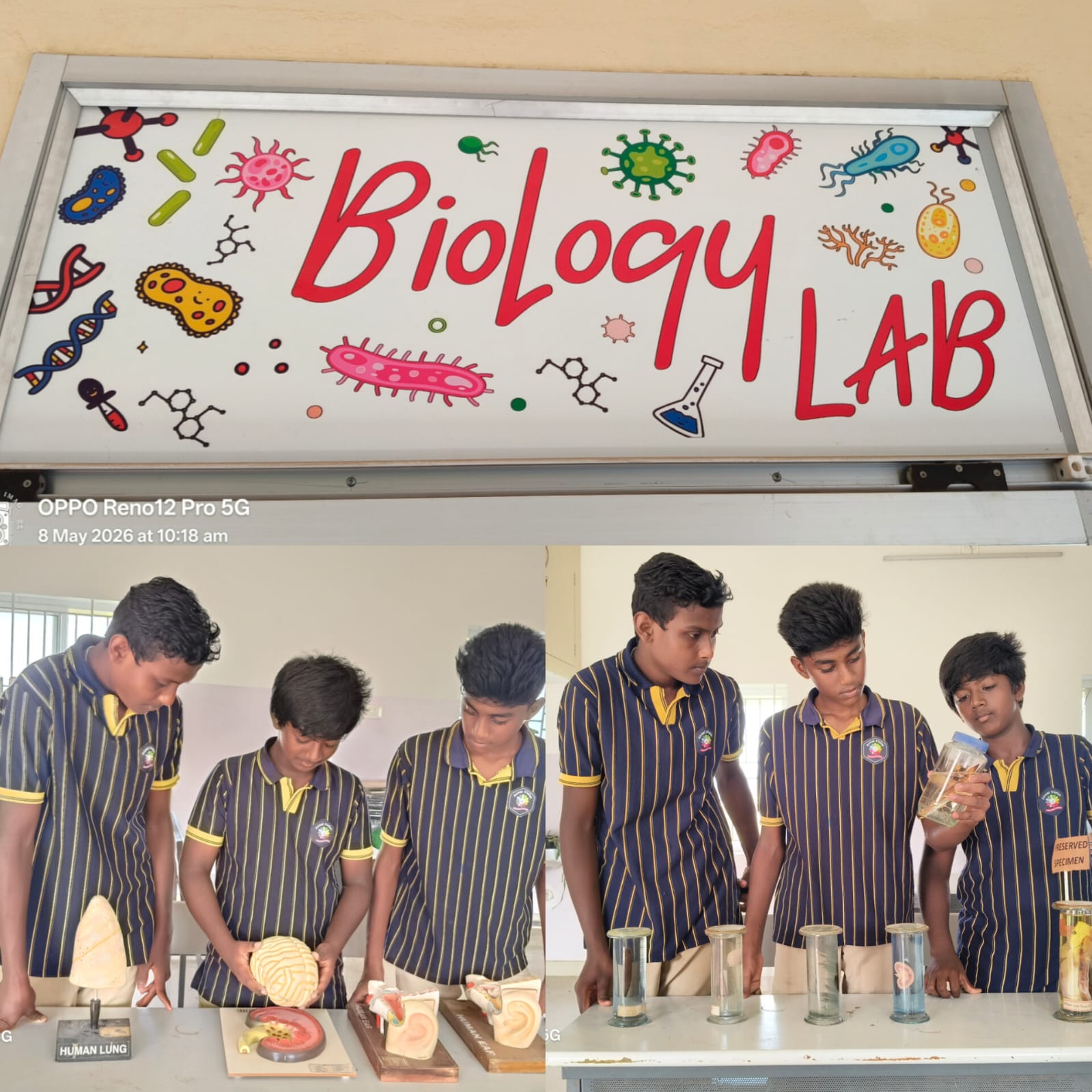 Biology